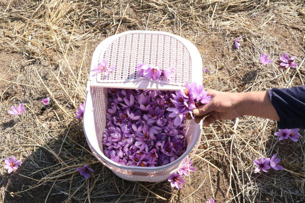 Konya’nın korkulu rüyasına vurgu yapıldı, suyun önemine dikkat çekildi 7